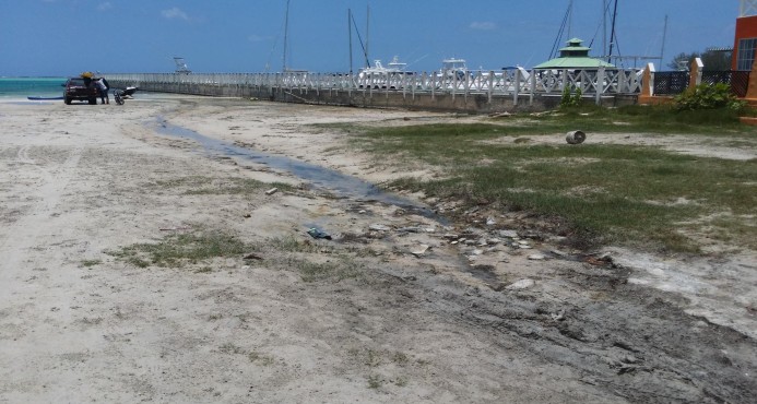 Boca Chica se convierte en playa de aguas muertas por la contaminación