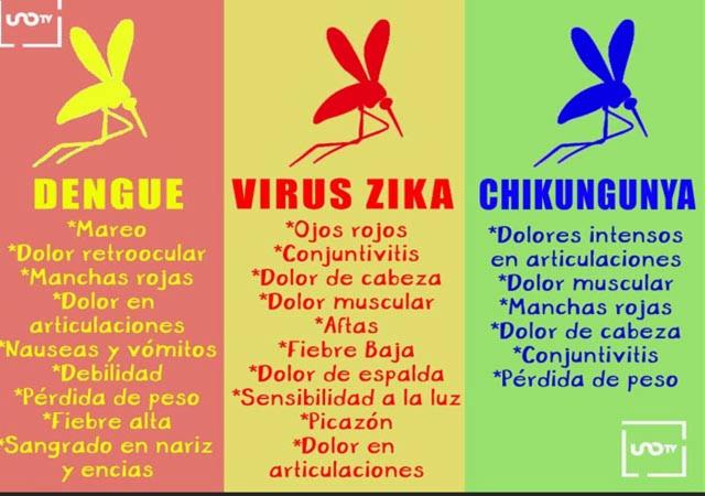 Más de 750 mil personas mueren cada año por culpa de los mosquitos