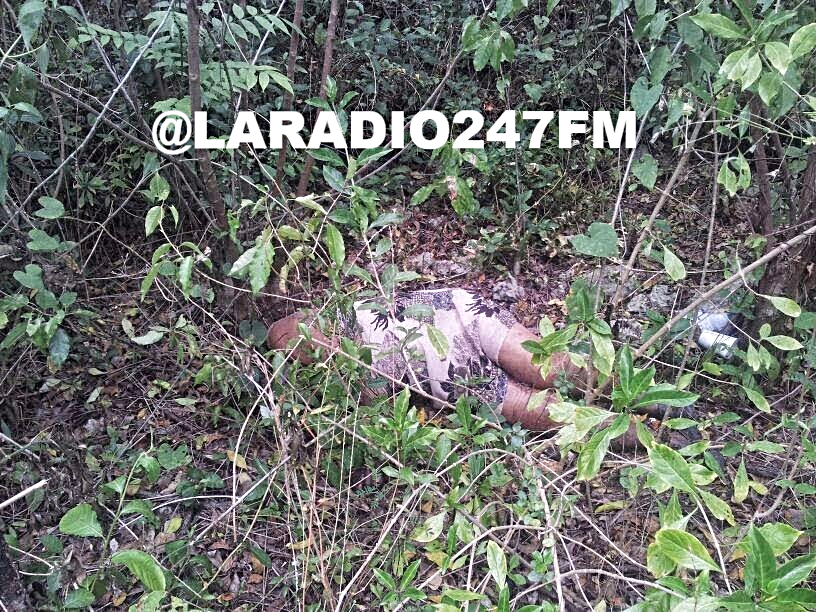 Hallan cadáver de una mujer en Bávaro PN INVESTIGA