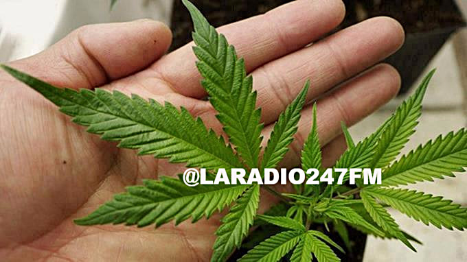 Bebé de cinco meses intoxicada con marihuana en Argentina; es hija de padres adolescentes DIOS MIO HASTA CUANDO