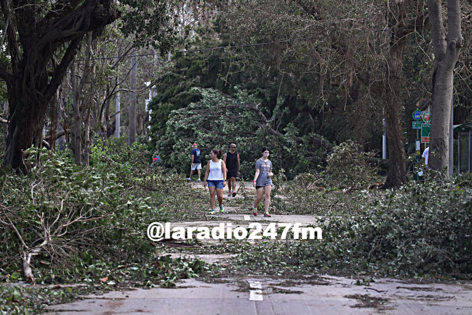 Famosos recogen árboles y basura de Miami tras huracán Irma